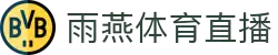 雨燕体育直播-精准NBA赛事追踪_五大联赛实时覆盖_多线路稳定播出
